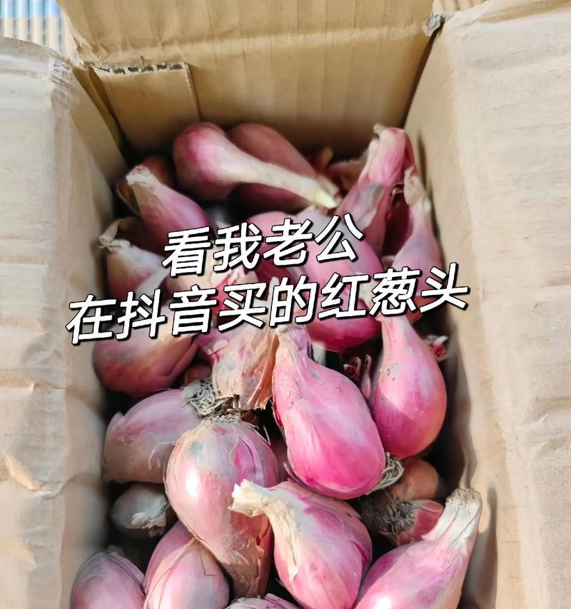 葱做盆栽有什么特别的含义？它代表了什么？
