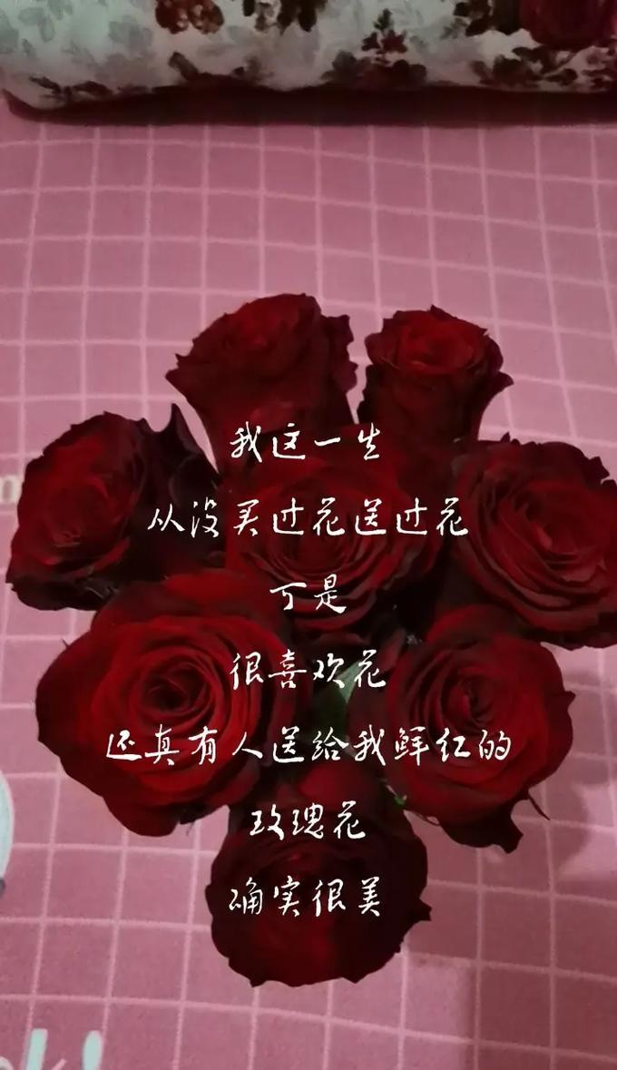 从人身上摘取玫瑰花的含义是什么？