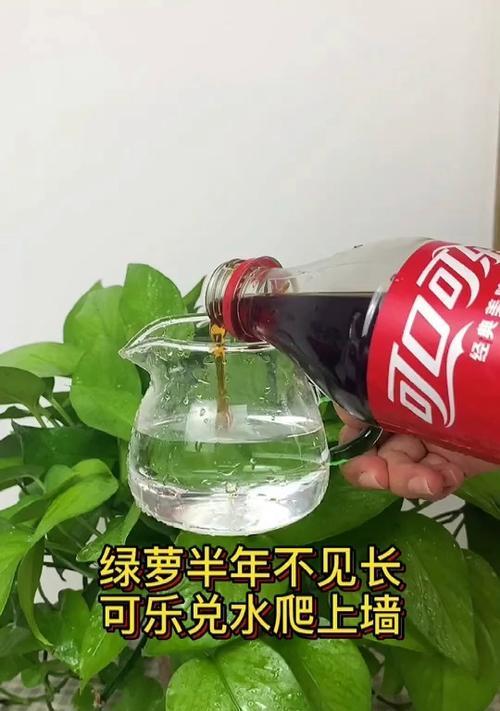 花卉绿植为何突然爆满？如何应对？