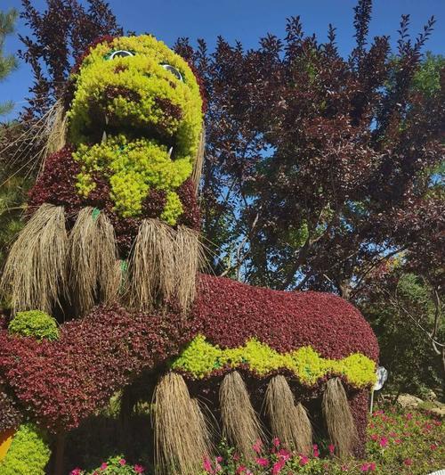 马柳花属于什么植物？它有哪些特性？