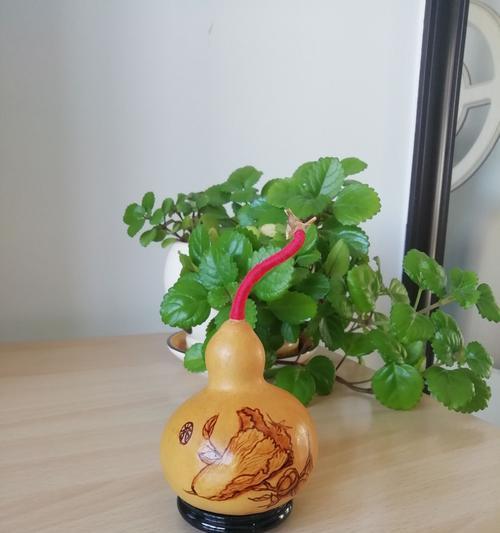 葫芦花的寓意是什么？