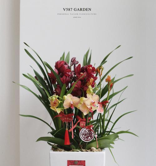 妈妈生日送盆栽花有哪些好选择？哪种花语最适合作为祝福？