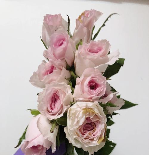 小花束玫瑰花的寓意是什么？它传递了哪些情感？