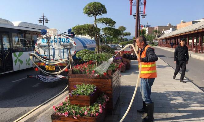 花卉养护管理应包括哪些方面？如何做好日常养护？