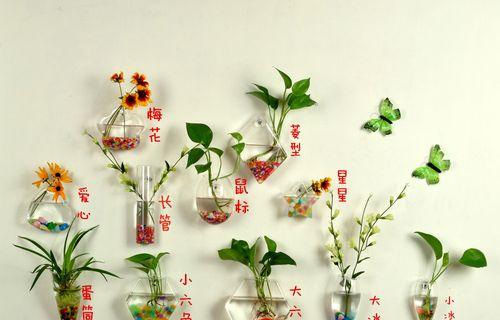 适合玻璃瓶里的花卉有哪些？如何进行水培？