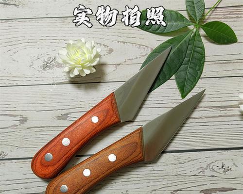架接花卉需要哪些专用工具？这些工具的使用方法是什么？