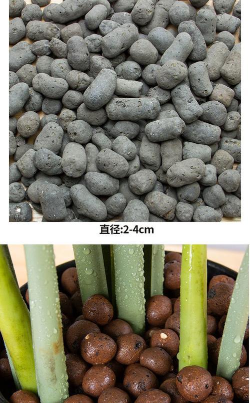 陶土粒球在盆栽中的种植方法是什么？它们对植物生长有何影响？