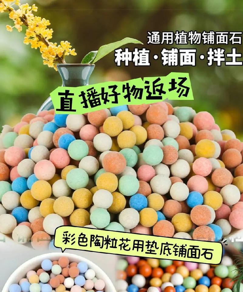 陶土粒球在盆栽中的种植方法是什么？它们对植物生长有何影响？
