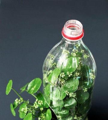花卉内里塑料的作用是什么？