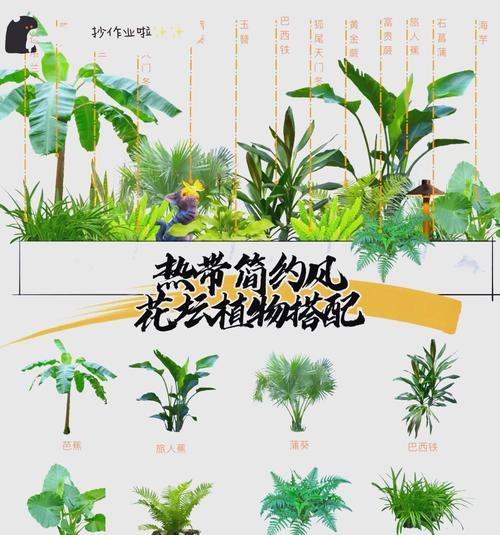 热带花卉适合哪些容器？容器选择对花卉有何影响？