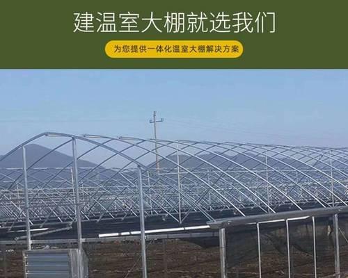 花卉大棚简易育苗技术有哪些？如何提高育苗成功率？