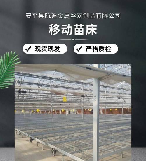 花卉大棚简易育苗技术有哪些？如何提高育苗成功率？
