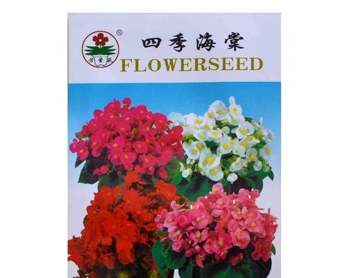 四季常春花卉种子的选购技巧是什么？