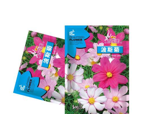 四季常春花卉种子的选购技巧是什么？