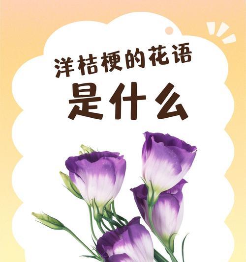 哪种花的花语代表永恒？它象征了什么？