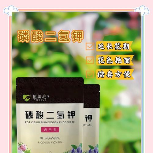 用花苞培养花卉的方法有哪些？哪种方法最适合你？