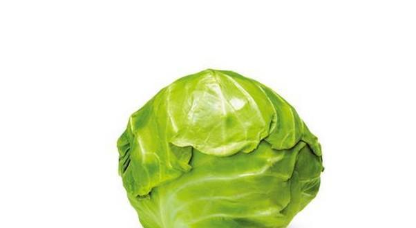 卷心菜种植中哪些农药最常用？如何正确使用这些农药？