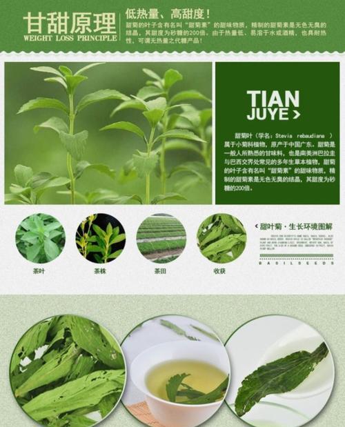 植物饮料的定义是什么？植物饮料有哪些种类？