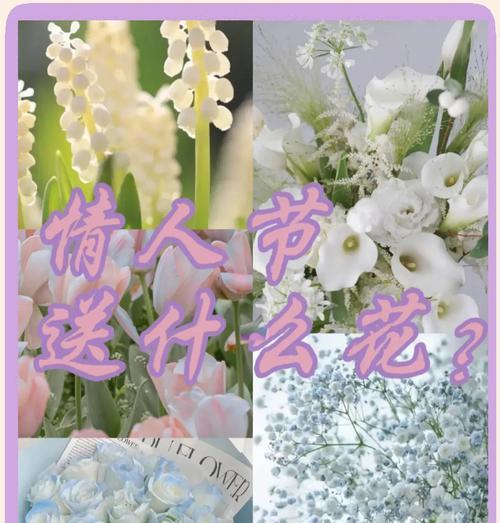 抱一束白玫瑰象征着什么情感？