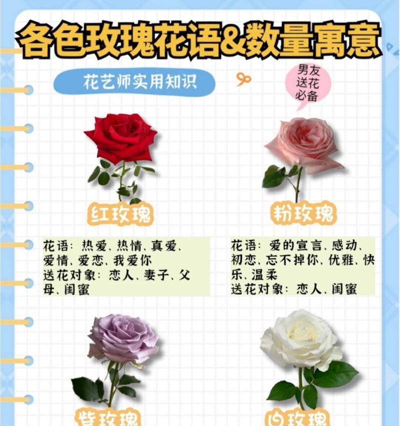 爸爸变玫瑰花给女儿的寓意是什么？应该选择哪种颜色的玫瑰？