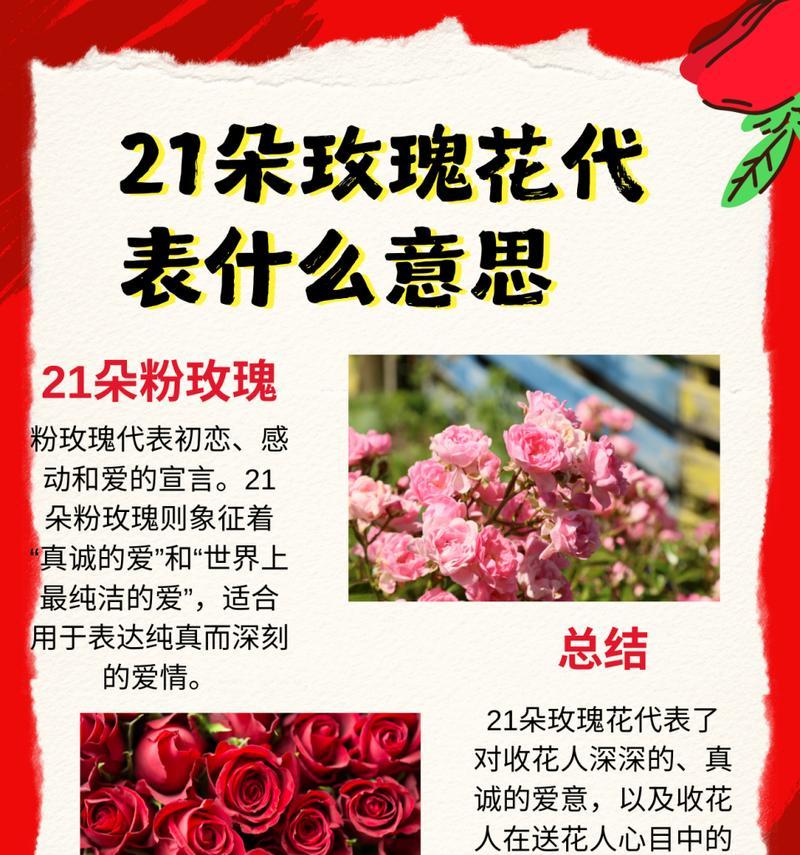 背后有玫瑰花是什么意思？玫瑰花在不同位置的象征意义是什么？