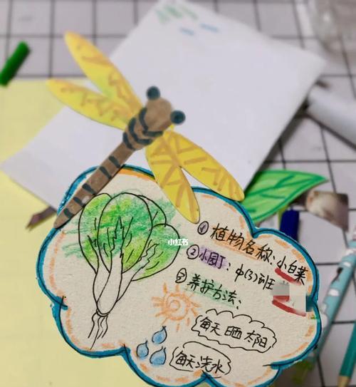 植物标签的正确写法是什么？