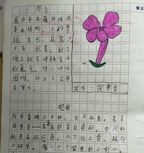 植物标签的正确写法是什么？