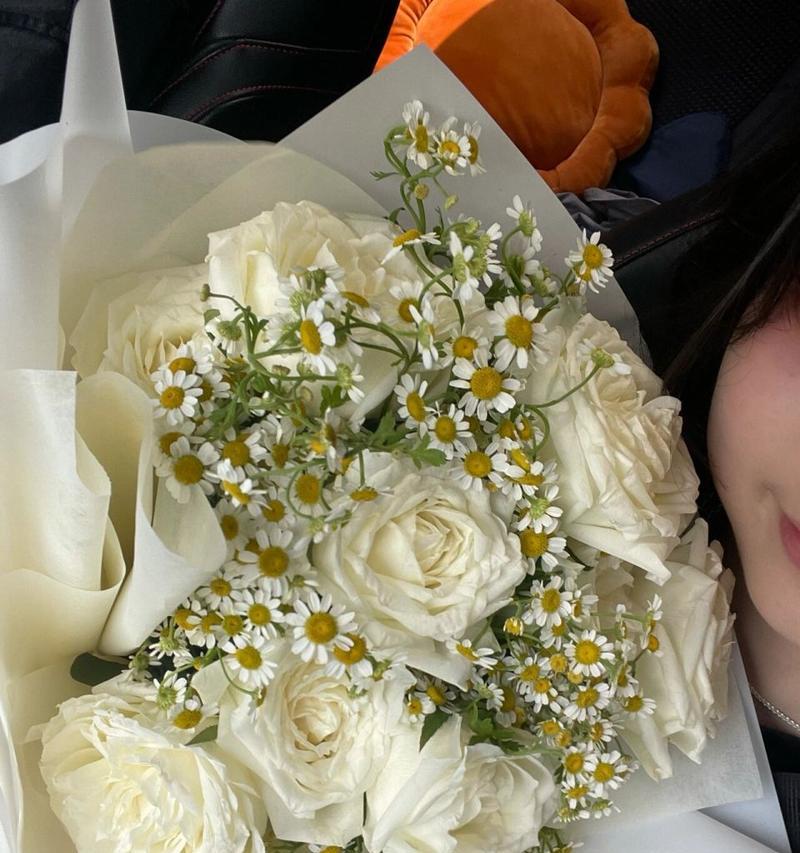捧着白玫瑰的姑娘意味着什么？白玫瑰花语有哪些解释？