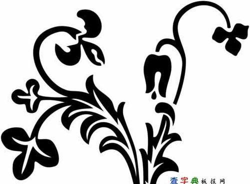 兰花植物小报的绘画技巧有哪些？