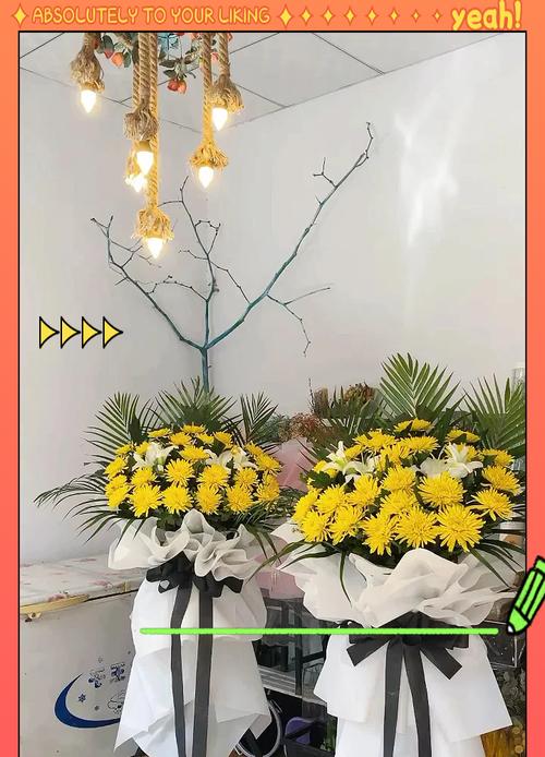 春节送菊花有什么寓意？菊花在春节文化中代表什么？