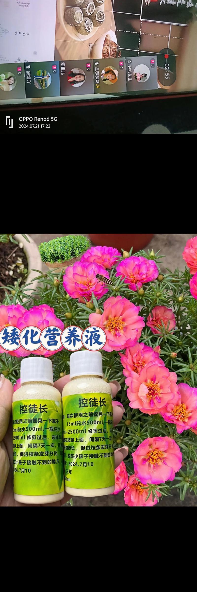 花卉营养液为何是酸性的？酸性营养液对花卉有何影响？