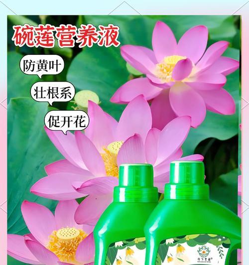 花卉营养液为何是酸性的？酸性营养液对花卉有何影响？