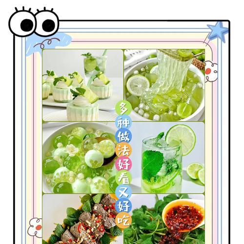 罐子盆栽薄荷怎么养护？有哪些技巧？