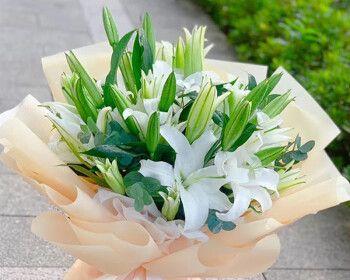 三朵百合花的花语是什么？送三朵百合有何特别意义？