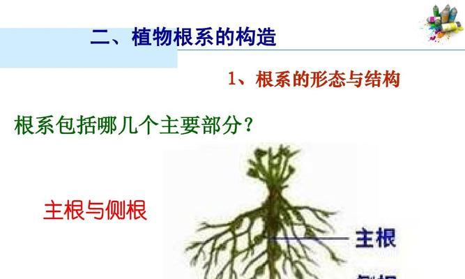 厨房用纸栽培什么植物？用纸栽培植物的步骤和好处是什么？