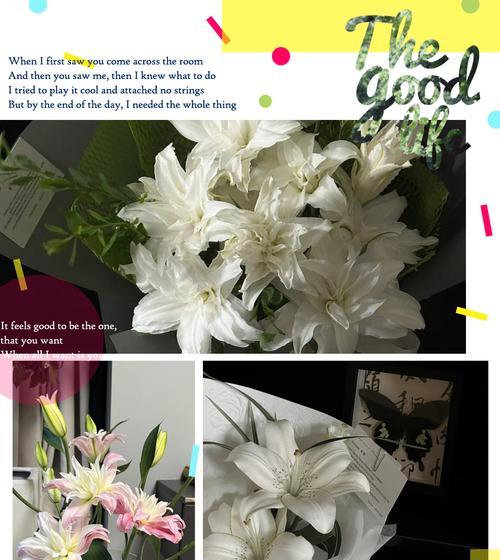 百合代表什么？百合花的象征意义有哪些？