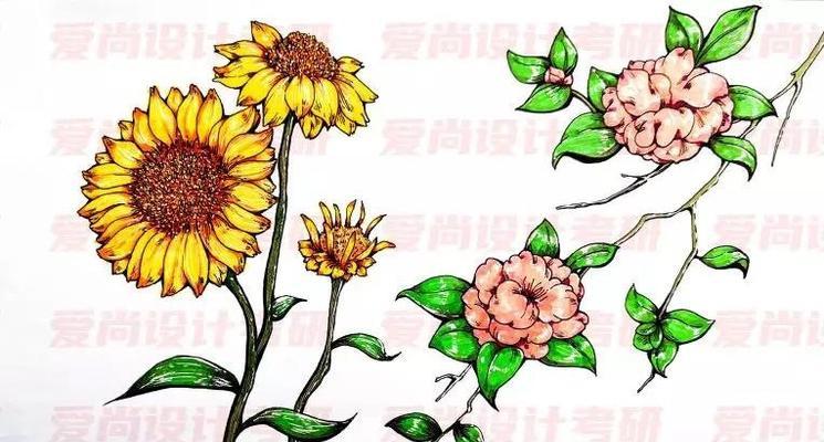 如何绘制植物战场？有哪些技巧？