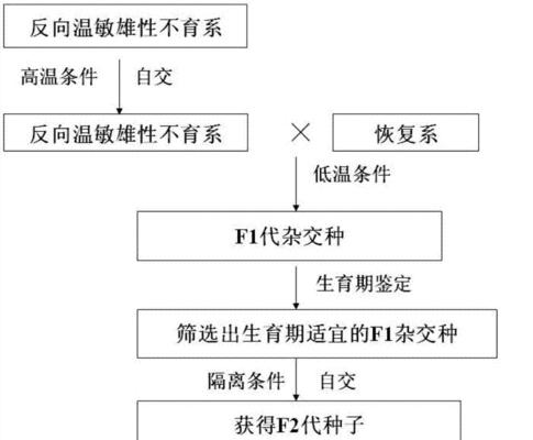 杂交育种培育水稻属于什么生殖？水稻的繁殖方式和特点是什么？