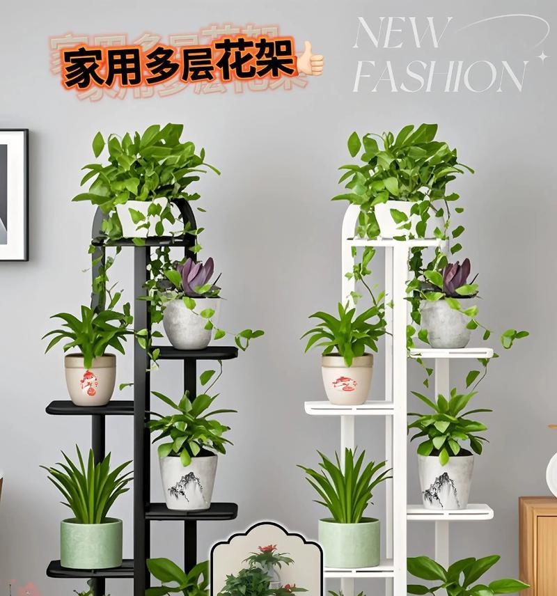 家庭花卉绿植有哪些？花架适合摆放哪些植物？