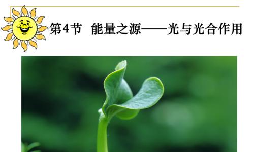 植物为什么大多是绿色的？绿色植物的光合作用原理是什么？