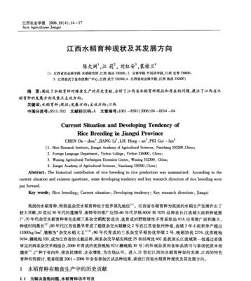 稻飘洗发水稻飘的含义是什么？