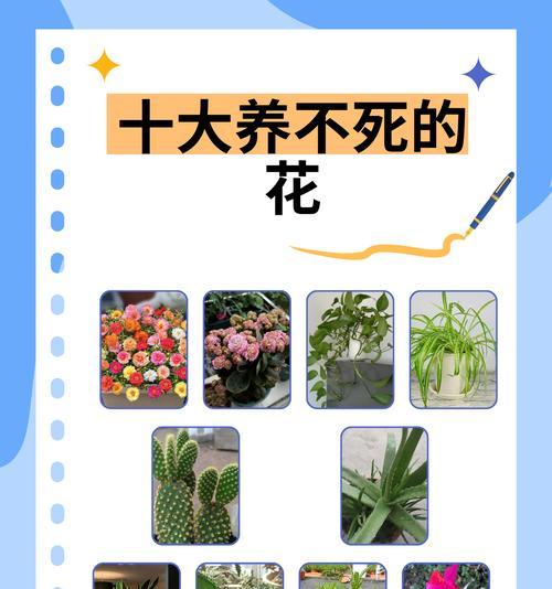 世界十大不能捡的花卉是什么？捡这些花卉有什么风险？