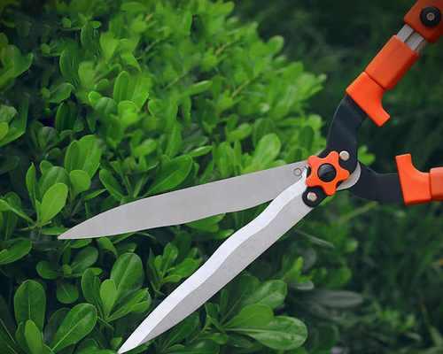 植物工具材料是什么？选择植物工具材料的标准是什么？