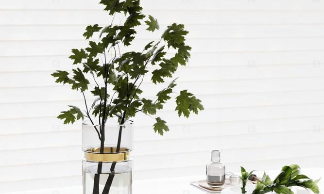 植物工具材料是什么？选择植物工具材料的标准是什么？