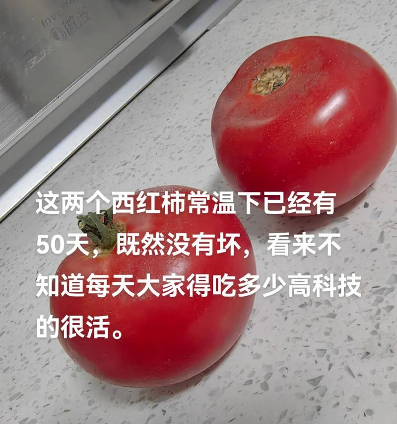 番茄植物能活多久？如何延长番茄植物的寿命？