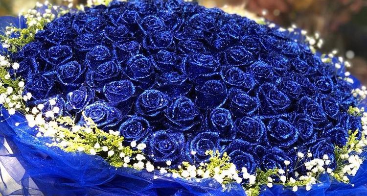 洗衣液中的蓝色玫瑰花象征什么？蓝色玫瑰花的含义是什么？