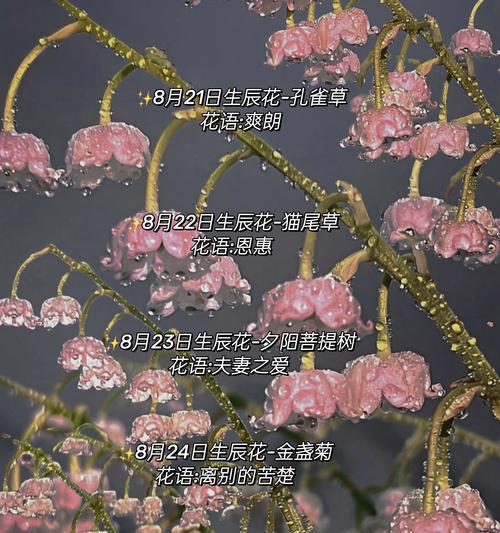 哪种花的花语代表“我想你”？如何通过花语表达思念之情？