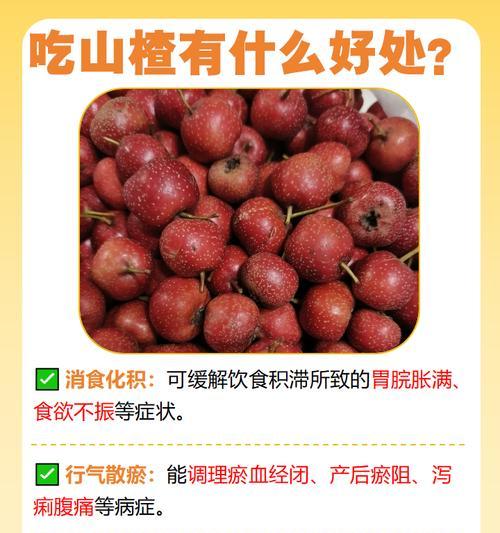 哪些植物有助于消化？它们的食用方法是什么？
