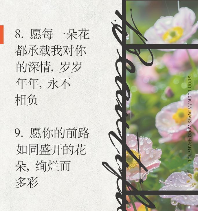 相亲时送玫瑰花有何深意？它传递了什么信息？