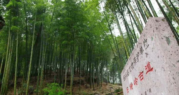 绍兴有哪些特色植物？